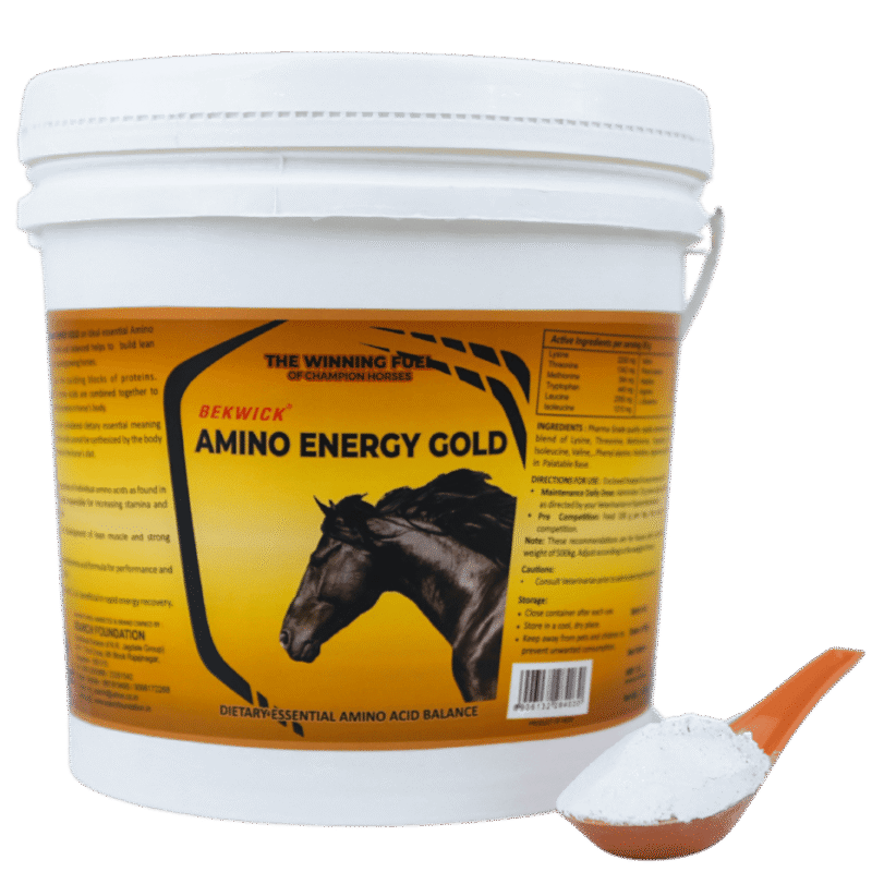 Bekwick Amino Energy Gold – Essential Amino Acid Supplement for Performance Horses