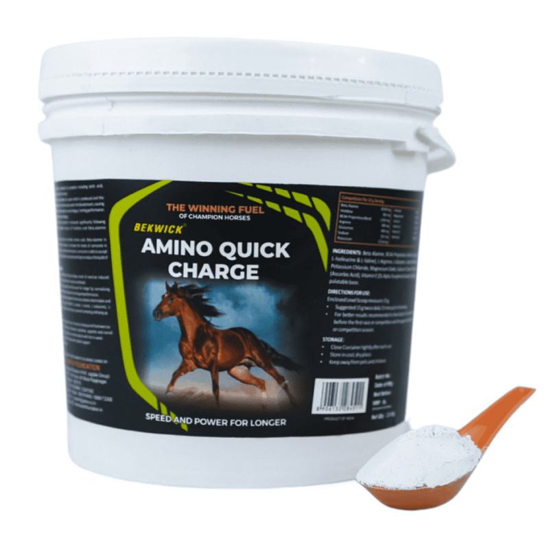 Bekwick Amino Quick Charge – Premium Equine Performance Supplement