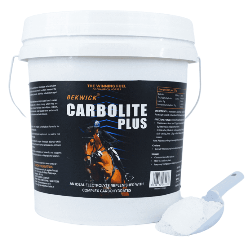 Bekwick Carbolite Plus – 5Kg Electrolyte Supplement for Horses