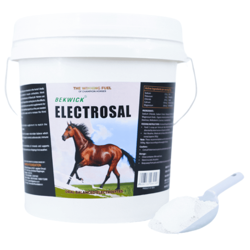 Bekwick Electrosal – 5Kg Electrolyte Supplement for Horses