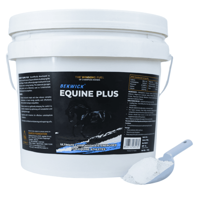 Bekwick Equine Plus
