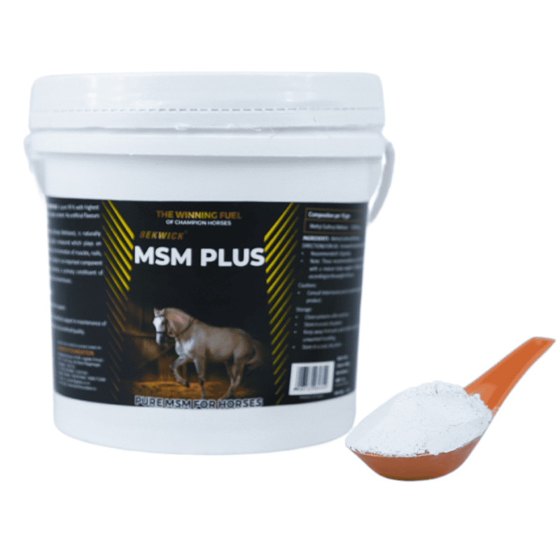 Bekwick MSM Plus – 1Kg Pure Methyl Sulfonyl Methane Supplement