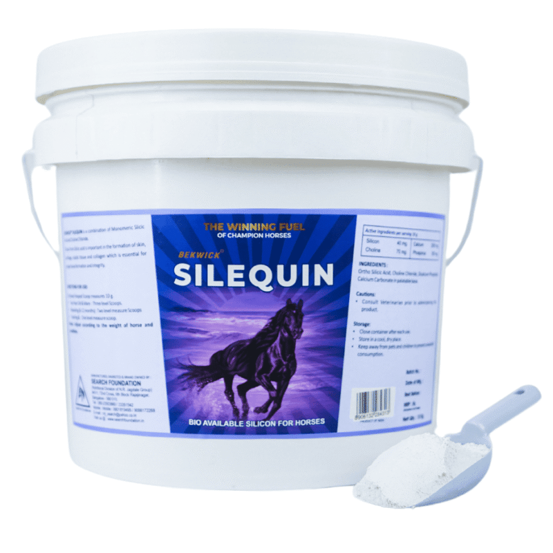 Bekwick Silequin Plus – 10KG