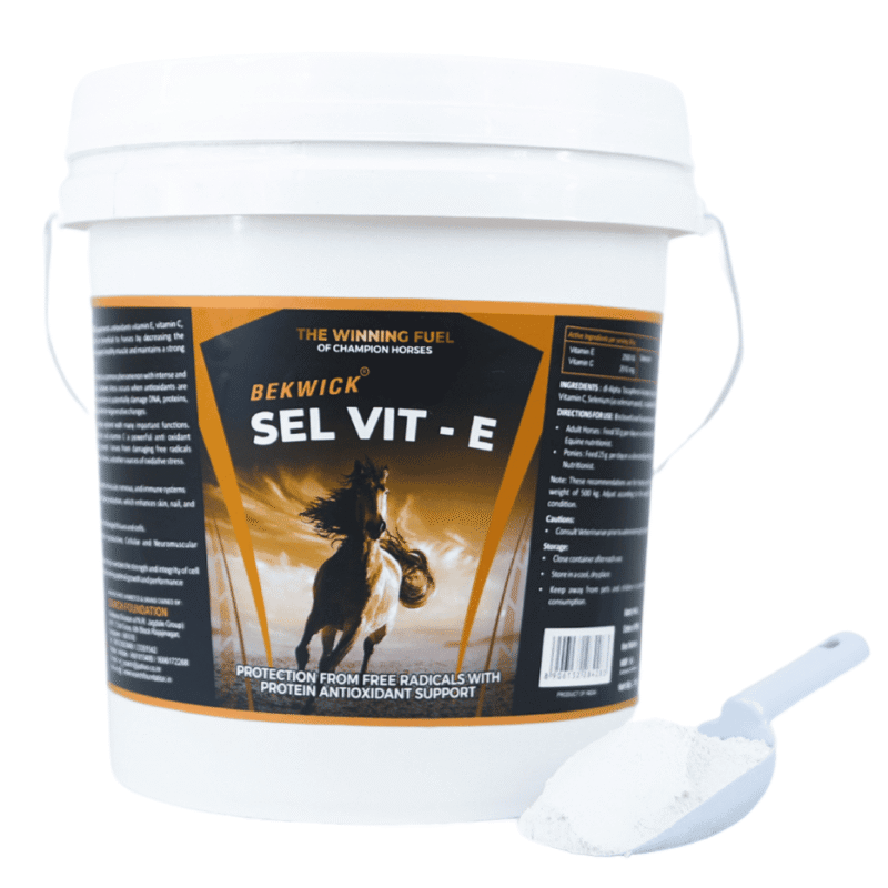 Bekwick SEL-VIT E – 5Kg | Antioxidant Support for Horses
