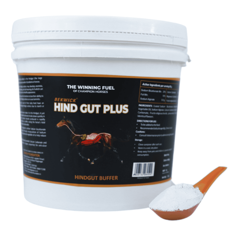 Bekwick Hind Gut Plus – 1KG